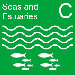 View Seas and Estuaries indicators